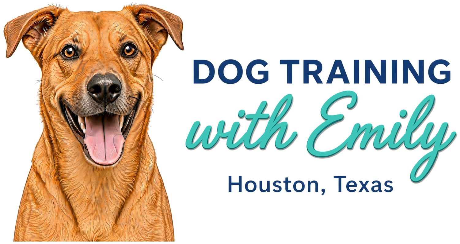 Dog Training with Emily — Houston, Texas